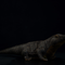 Peluche Dragón de Komodo Realista