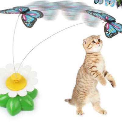 Electric pet toy with a row of white and yellow daisy flowers, green leaves, and five colorful feather birds on wires.