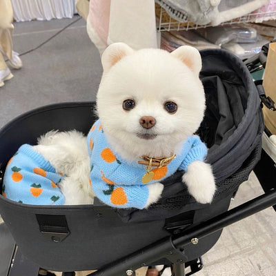 Suéter Tejido para Perros con Estampado Adorable - Manga Larga - Image 8