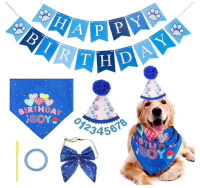 Sombrero de Cumpleaños para Perros con Números y Bandana - Image 12