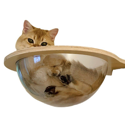Kit DIY para Árbol Rascador de Gatos - Materiales y Accesorios - Image 16