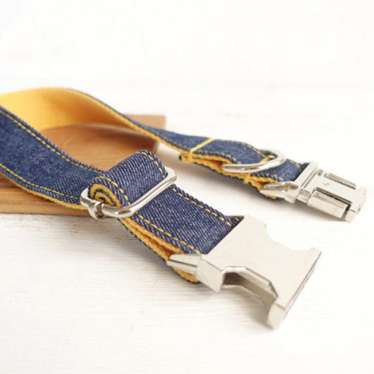 Collar Vaquero para Mascotas - Image 4
