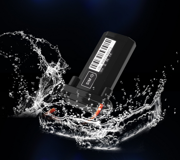 Localizador GPS con Monitoreo Remoto