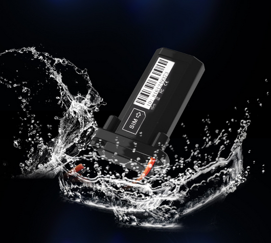 Localizador GPS con Monitoreo Remoto - Image 2