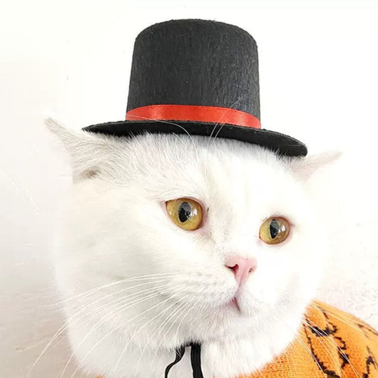 Cuello Tejido para Gato con Sombrero de Mago y Corbata de Caballero - Image 3