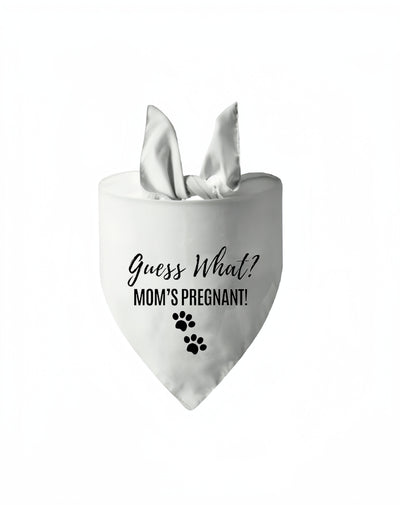 Pañuelo Triangular para Mascotas en Bodas y Eventos - Image 8