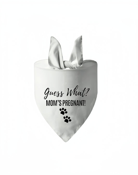 Pañuelo Triangular para Mascotas en Bodas y Eventos - Image 8