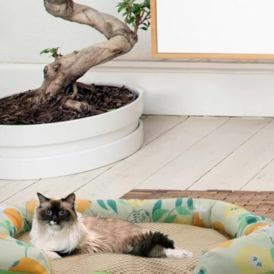 Colchoneta Refrescante para Mascotas - Cama Autofría para Perros y Gatos - Image 5