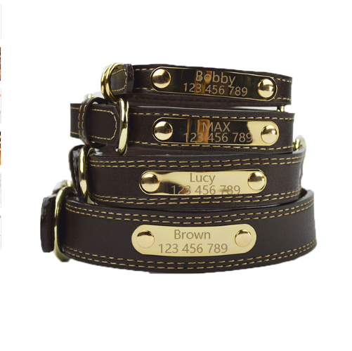 Collar Personalizado para Perros Medianos y Grandes con Letras