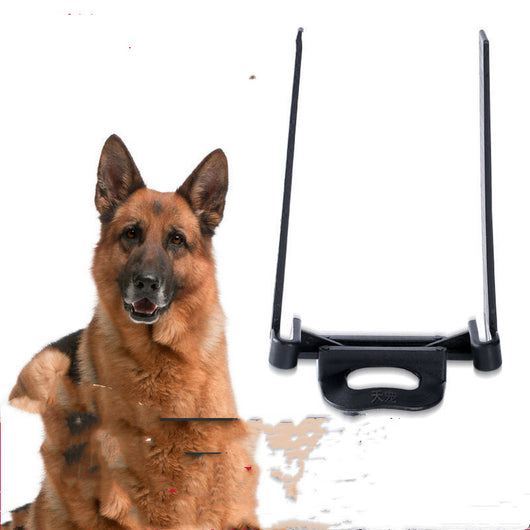Soporte Ergonómico para Orejas de Perro - Corgi, Dóberman y Razas Grandes - Image 8