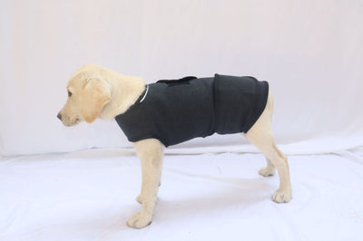 Chaleco Calmante para Perros - Prenda de Compresión contra la Ansiedad - Image 6
