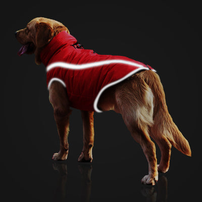 Abrigo Impermeable para Perros - Chaqueta Térmica Resistente al Viento - Image 3