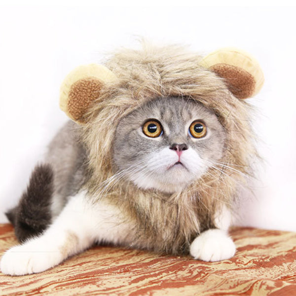 Gorro León Divertido para Perros y Gatos - Disfraz de Melena para Mascotas