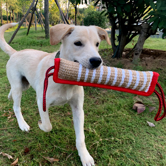 Palo de Cáñamo 30cm para Morder - Juguete Resistente para Entrenamiento Canino