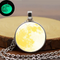 Collar Luminiscente Nocturno