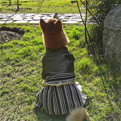 Ropa Samurái Zephyr para Perros - Estilo y Comodidad - Image 4