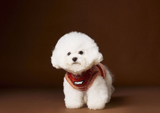 Chaleco Sin Mangas para Mascotas Schnauzer Bichón Rayas Arcoíris Variegadas - Image 5