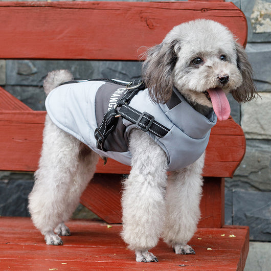 Chaleco Térmico para Mascotas - Abrigo Grueso para Otoño e Invierno - Image 38