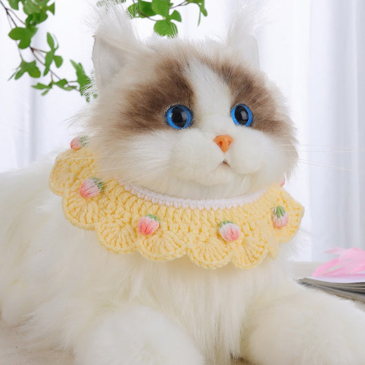 Collar Tejido de Lana para Gatitos British Shorthair Hecho a Mano - Image 8