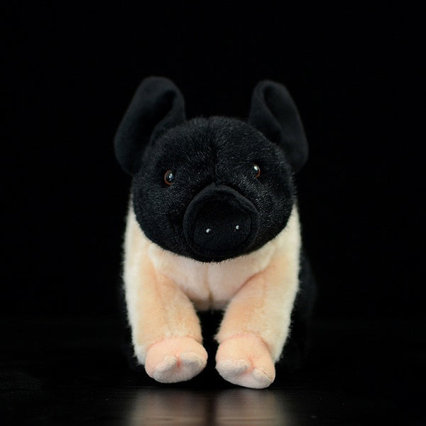 Peluche Adorable de Cerdito - Juguete Suave y Acogedor