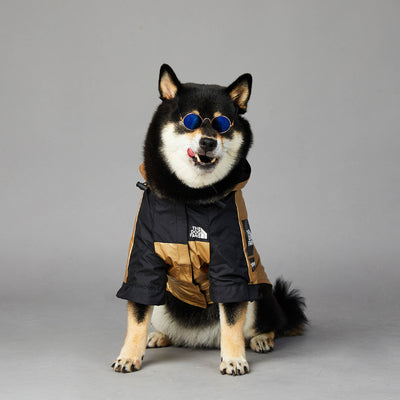 Impermeable para Perros Grandes - Abrigo Protector Ajustable - Image 9