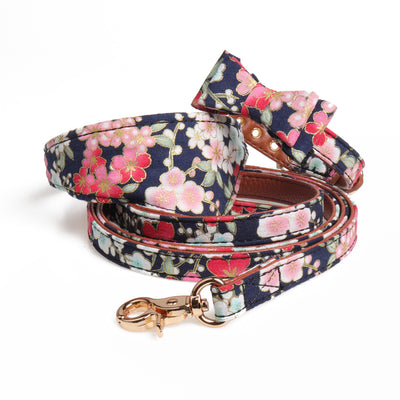Conjunto de Collar y Correa Japonés para Perros - Image 7