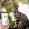 Collar Localizador para Mascotas con Campana y Reflectante Ajustable Antiextravío
