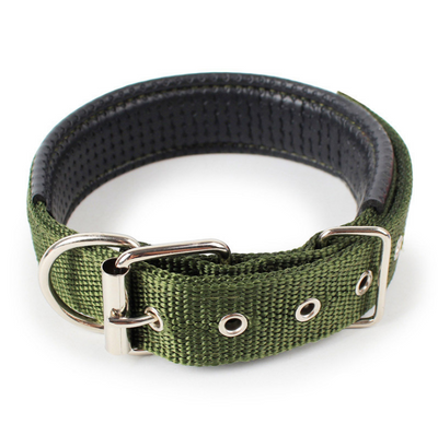 Collar para Mascotas con Forro de Cuero Suave y Espuma Protectora - Image 5