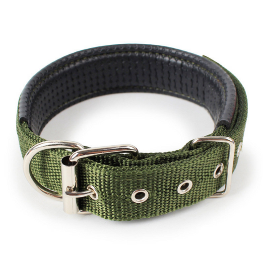 Collar para Mascotas con Forro de Cuero Suave y Espuma Protectora - Image 5