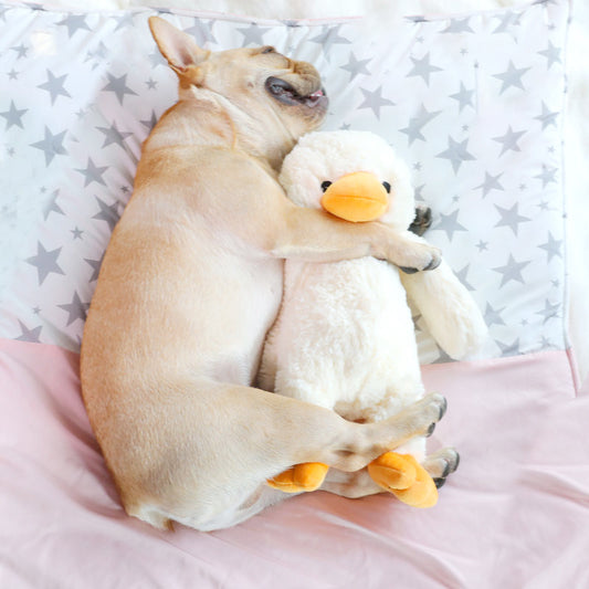 Cream plush duckling toy with an orange beak and feet, standing upright, measuring 35cm tall. - Image 2