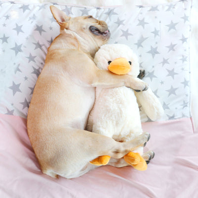 Cream plush duckling toy with an orange beak and feet, standing upright, measuring 35cm tall. - Image 2