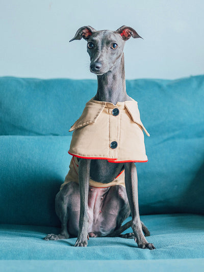 Abrigo de Algodón 100% para Perros - Ropa Cómoda y Práctica - Image 13