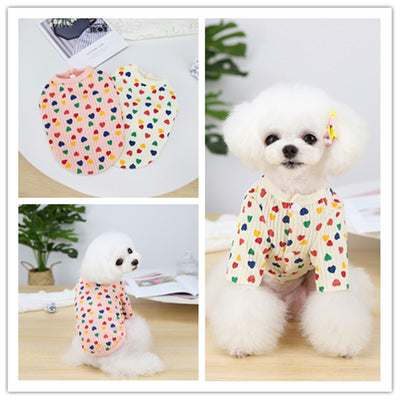 Playera Base Bicolor para Mascotas de Dos Patas