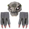 Set de Disfraz Dinosaurio con Máscara, Garras y Accesorios de Juego
