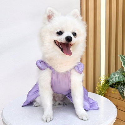 Vestido de Boda para Mascotas - Ropa Elegante para Perros y Gatos - Image 22
