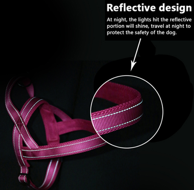 Arnés de Pecho para Perros - Image 3