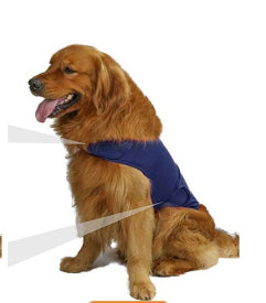 Chaleco Calmante para Perros - Alivia la Ansiedad por Separación - Image 4