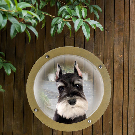 Ventana de Acrílico Transparente para Mascotas Pequeñas - Image 4