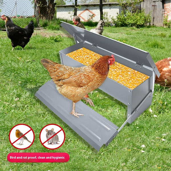 Comedero Automático con Pedal para Aves de Corral - Gallinas, Patos y Gansos