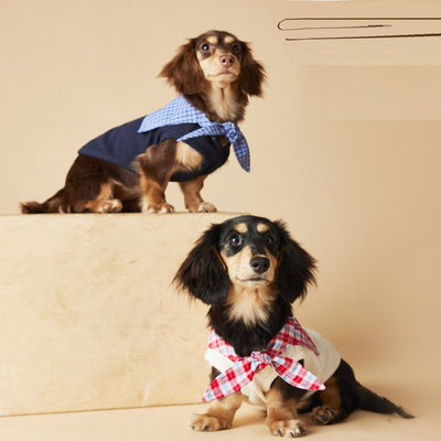 Chaleco Marinero sin Mangas para Mascotas - Schnauzer, Bichón, Yorkshire y Salchicha