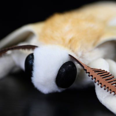 Peluche de Polilla Gusano de Seda - Muñeco Coleccionable de la Serie Insectos - Image 11