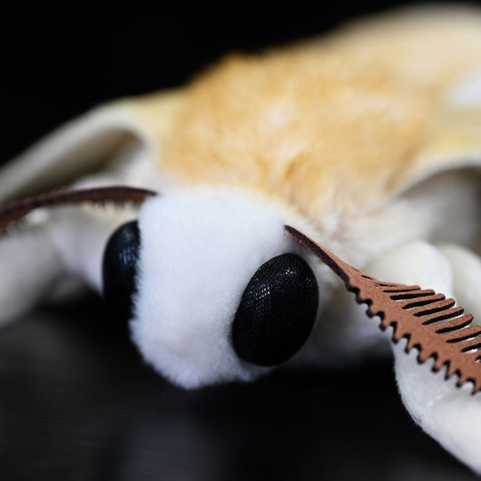 Peluche de Polilla Gusano de Seda - Muñeco Coleccionable de la Serie Insectos - Image 11