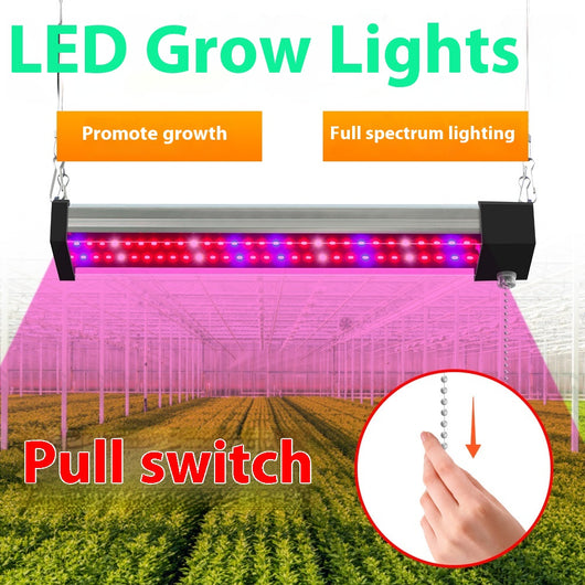 Barra LED de Espectro Completo para Plantas Suculentas