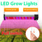 Barra LED de Espectro Completo para Plantas Suculentas