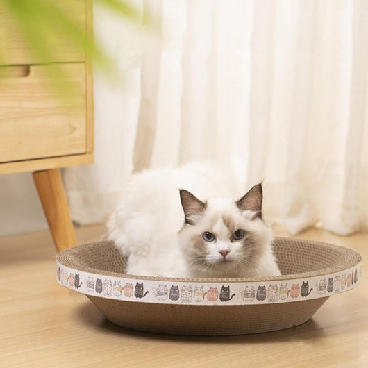 Cama Rascador Ovalado 2 en 1 para Gatos - Nido Acogedor con Cartón Corrugado - Image 9