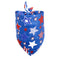 Big five pointed star