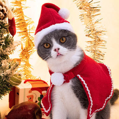 Disfraz Navideño para Mascotas - Capa y Gorro para Gatos y Perros - Image 10