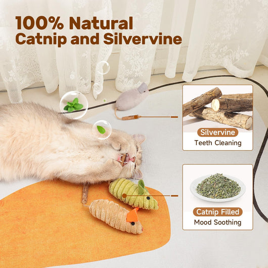 Juguetes Interactivos para Gatos con Catnip y Sonidos de Ratón - Image 5