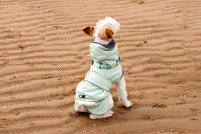 Abrigo Impermeable para Perros - Protección Contra Viento y Frío - Image 14