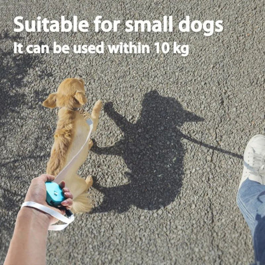 Correa Retráctil Automática para Perros Pequeños - Cinta Plana de Nylon - Image 8
